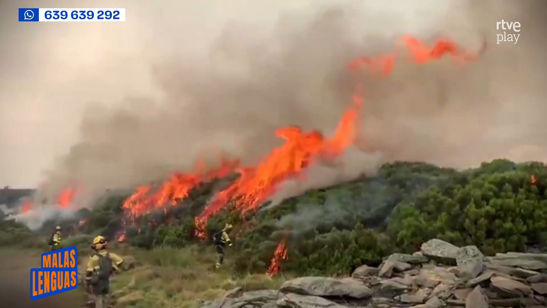 Bomberos forestales denuncian paralización mientras el fuego devora el monte