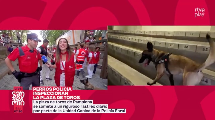 Policía foránea y perros detectores aseguran la Plaza de Toros en Los Afermines