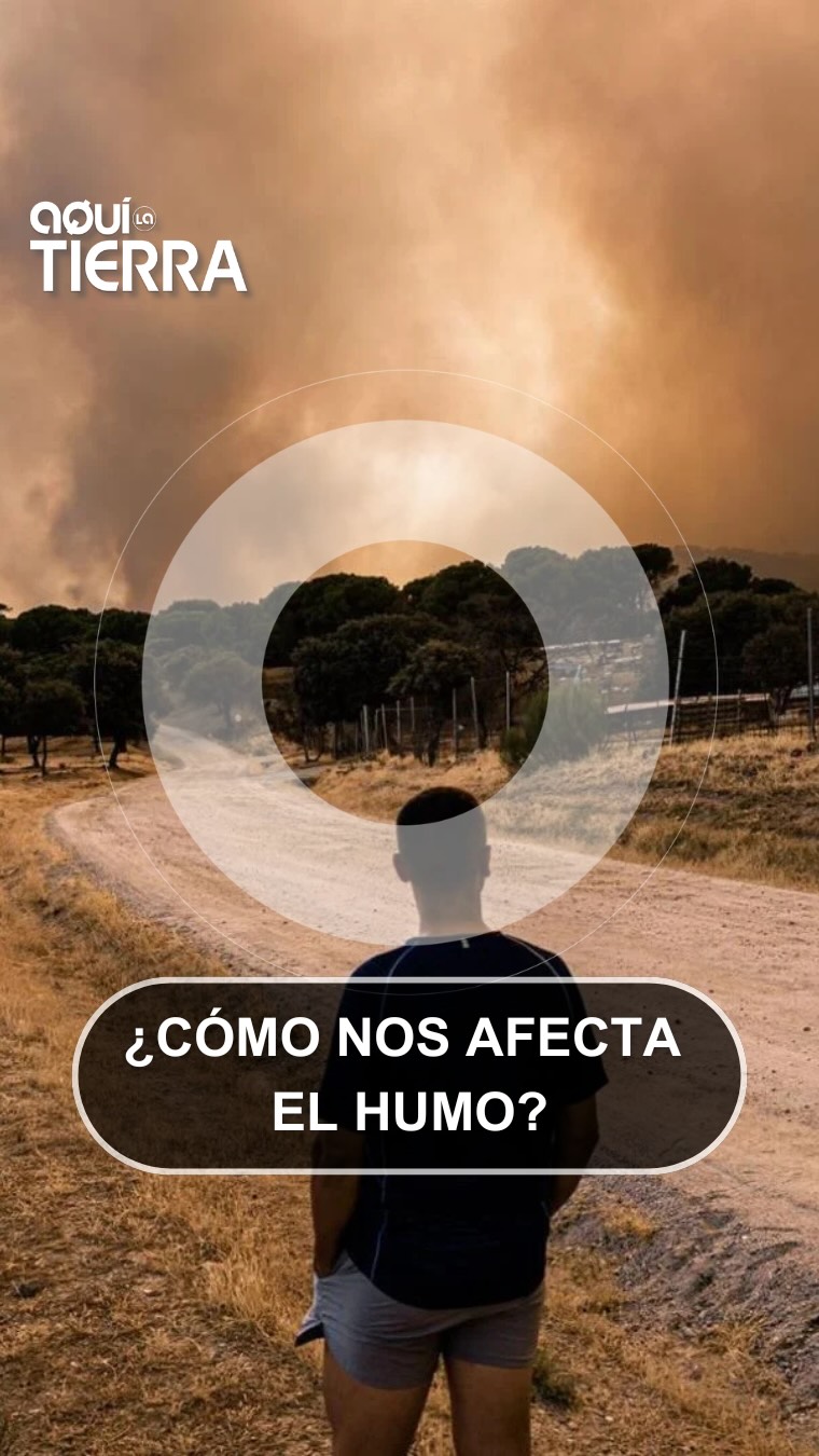 El humo de los incendios viaja kilómetros y afecta pulmones y corazón