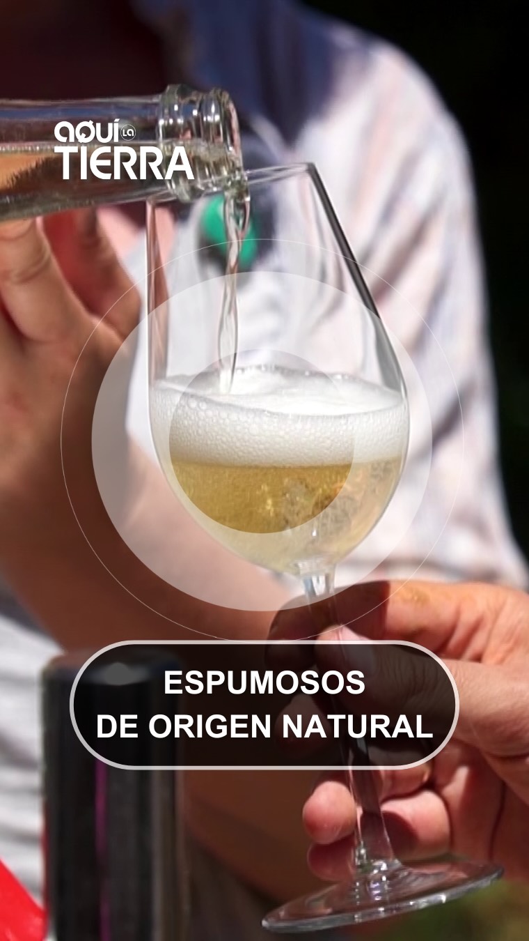 Ana, la bodeguera que pisa el campo: así elabora espumosos de uva Palomino
