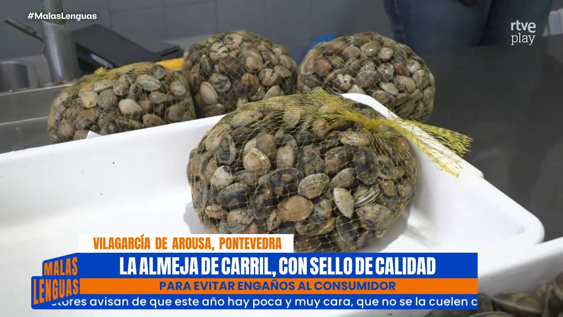 Blindan la almeja de carril: nueva marca de calidad contra el fraude