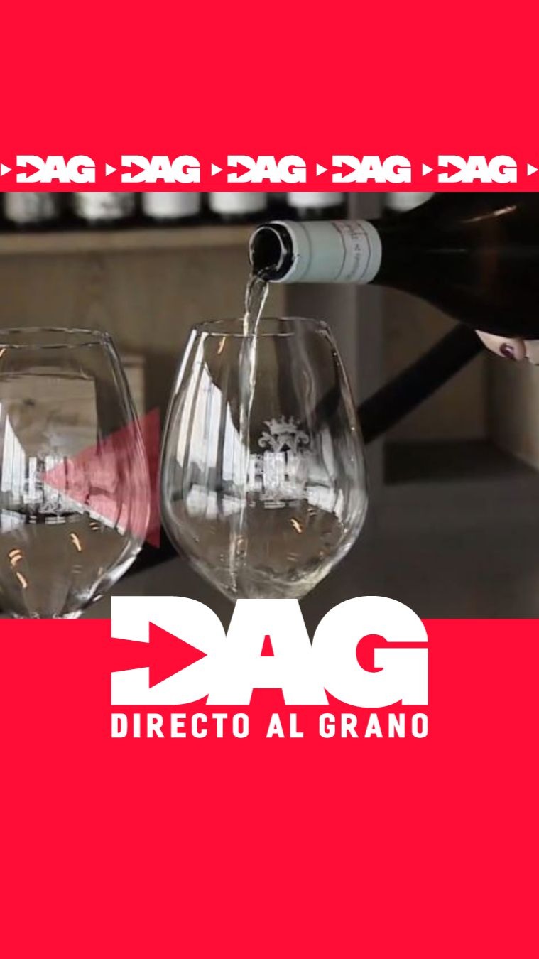 El alcohol es un carcinógeno: por qué ninguna copa de vino es saludable