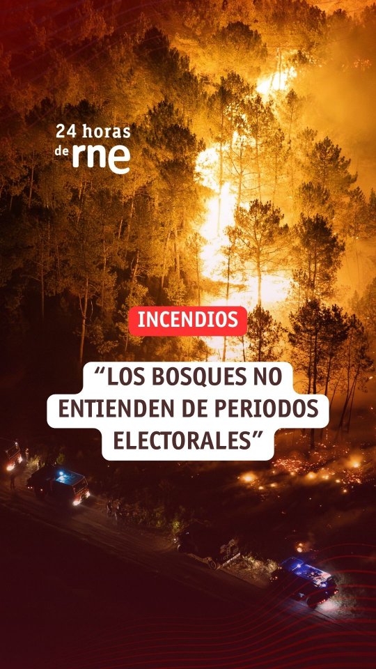 Los ecosistemas forestales necesitan un pacto de Estado vinculante más allá de las legislaturas