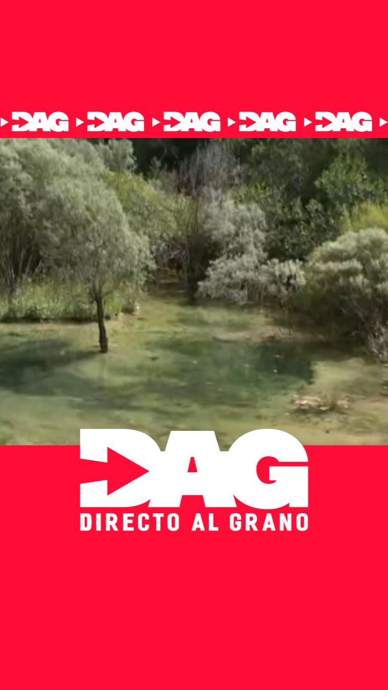 El nacimiento del río Cuervo reduce el calor hasta 10 grados en Cuenca