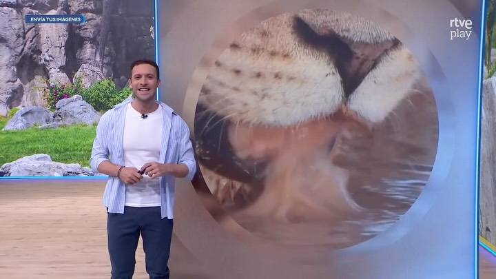 Los animales del zoo de Madrid se refrescan con manguerazos y helados gigantes