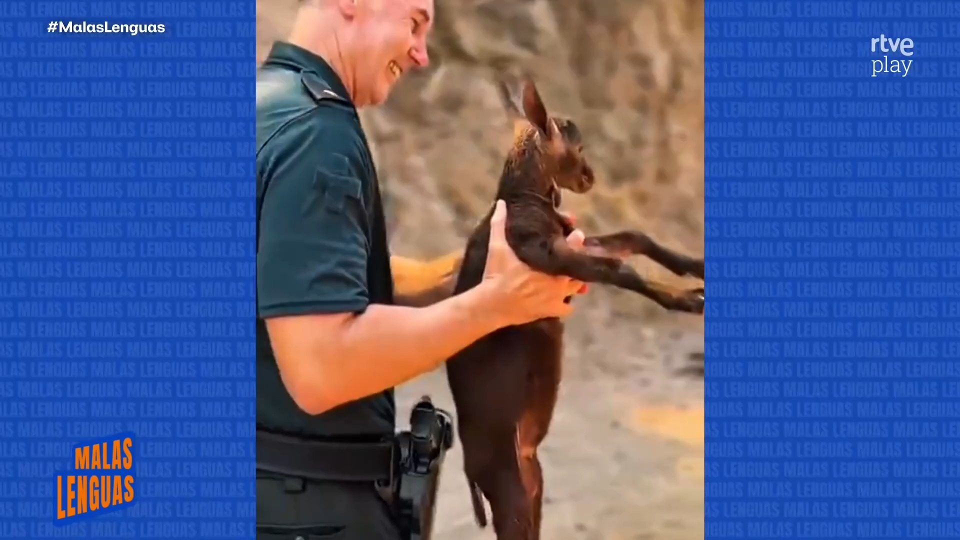 La Guardia Civil rescata a una familia de cabras de las llamas en Castellón