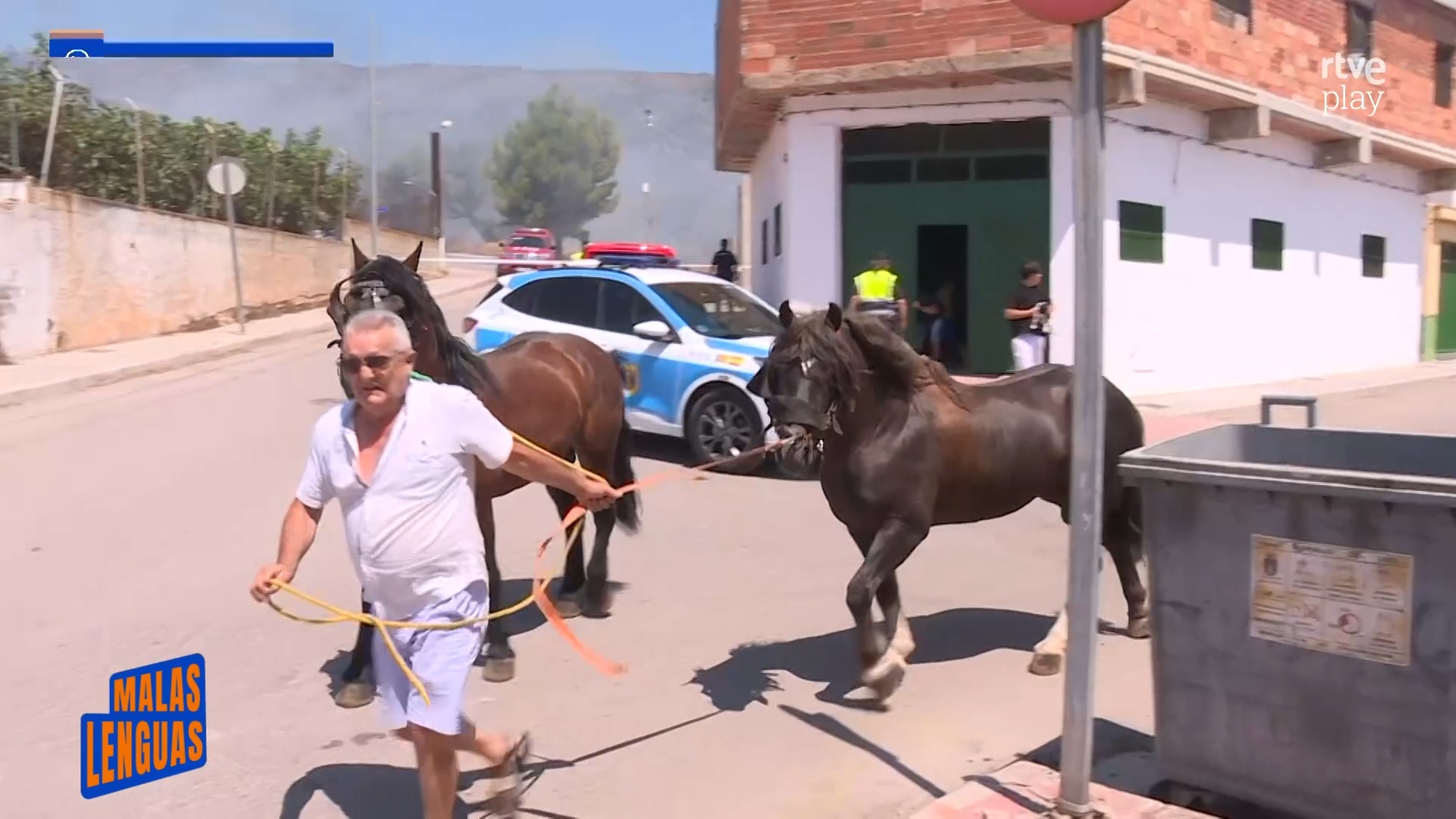 Guardia Civil y ciudadanos salvan animales de los incendios en Ávila