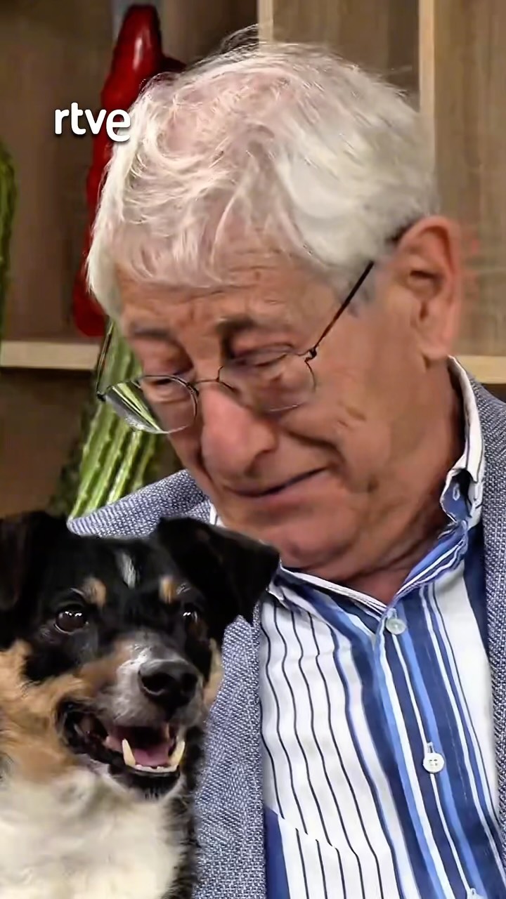 Anciano de 80 años entrega a su perro Curro por viudez y enfermedad