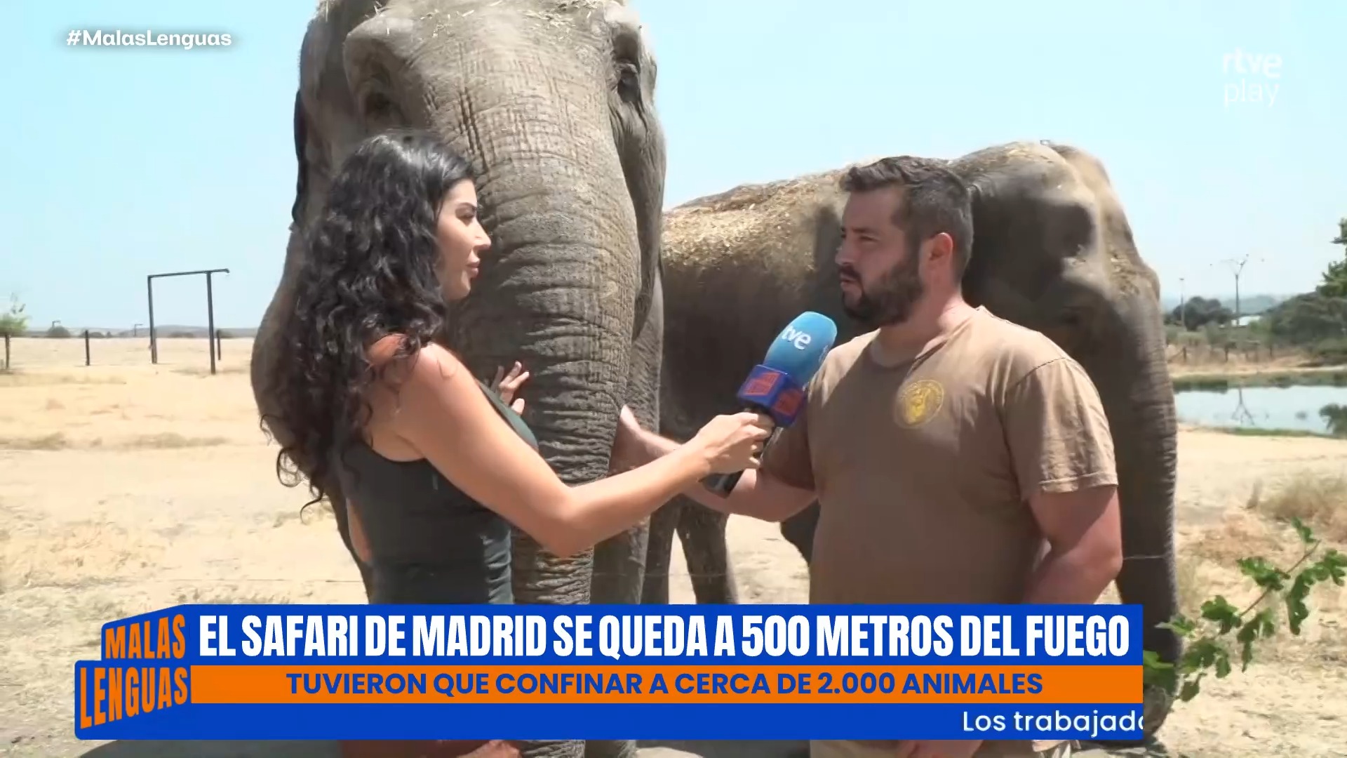 El fuego amenaza el Safari de Madrid y confina a 2.000 animales