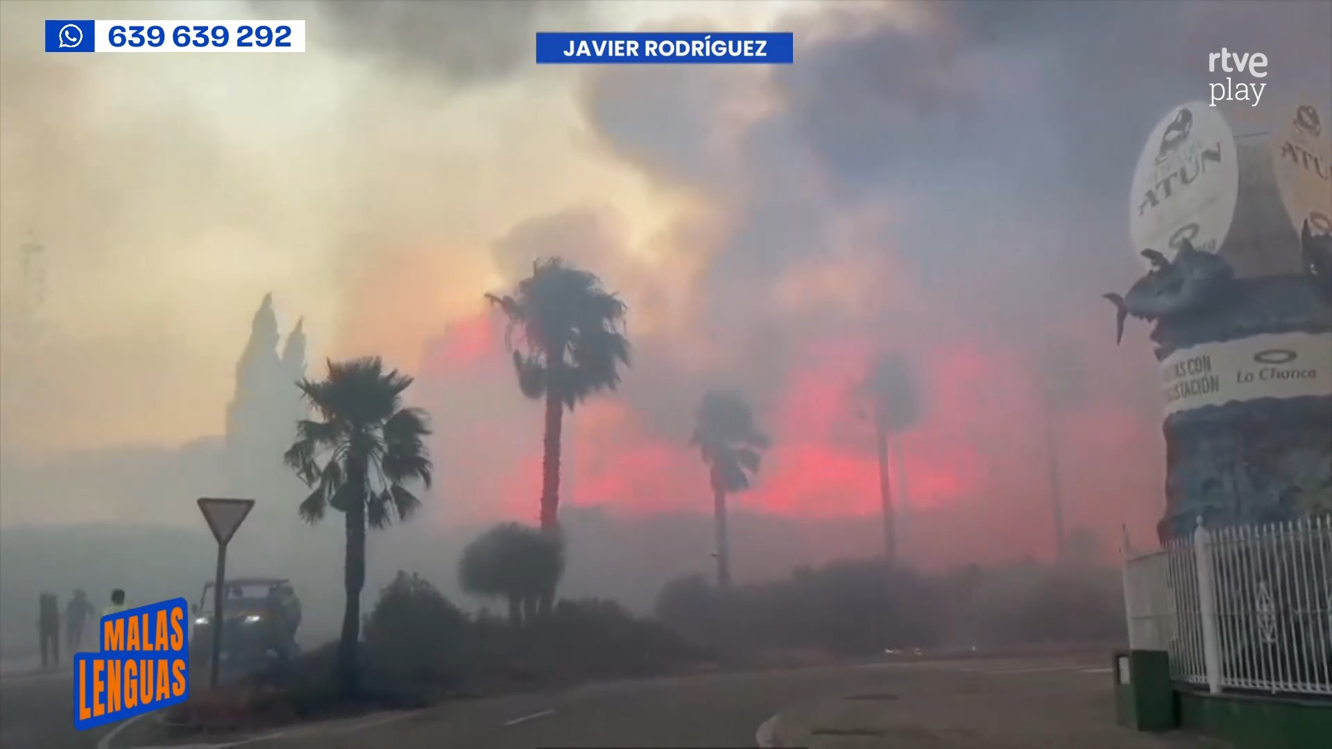 Incendios arrasan Andalucía: llamas y humo invaden Barbate y Grazalema