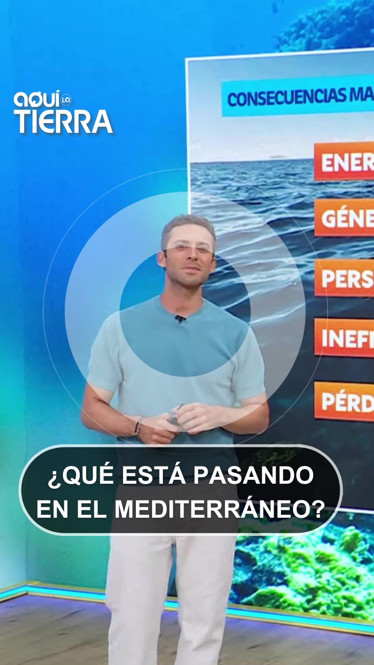 Récord absoluto en el mar de Mallorca: la boya de Sa Dragonera marca 33 grados