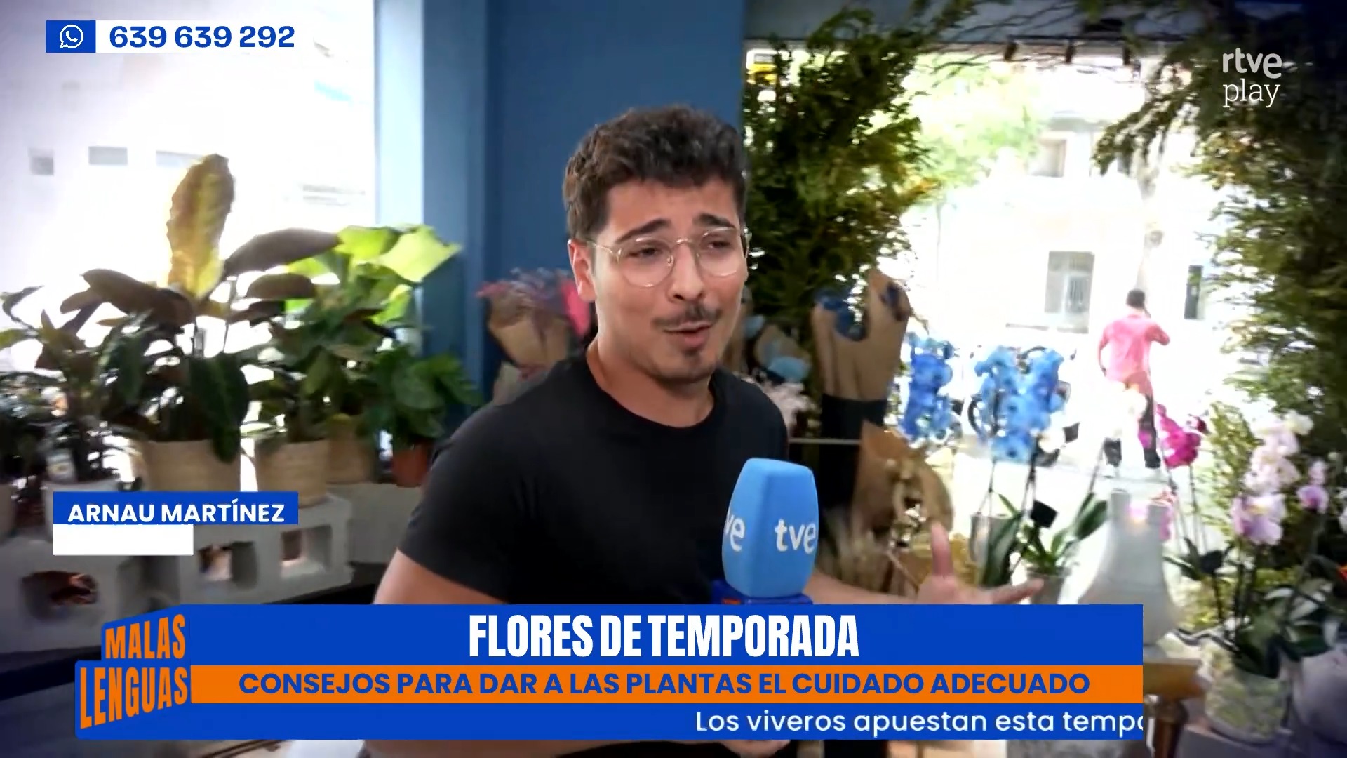 Cris da los trucos para resucitar las plantas muertas tras las vacaciones