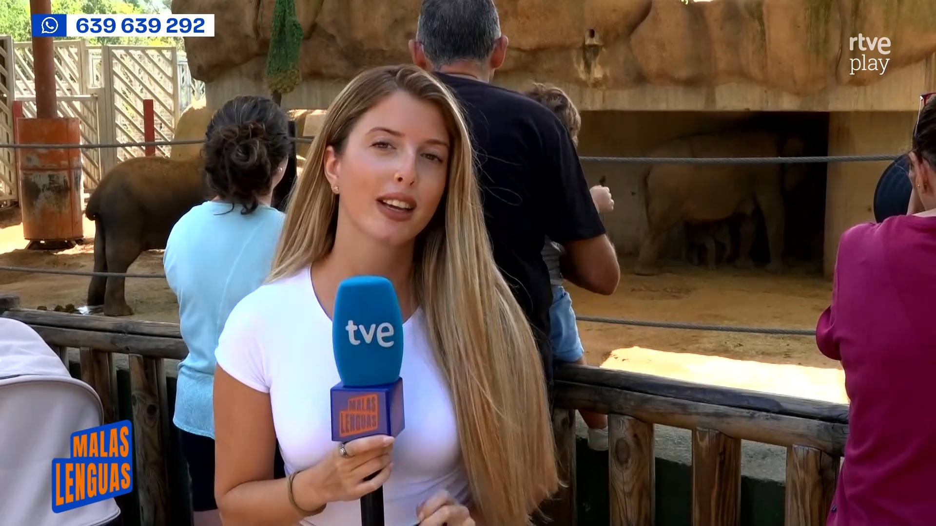 Nace un bebé elefante de Sumatra en el zoo de Madrid con 112 kilos