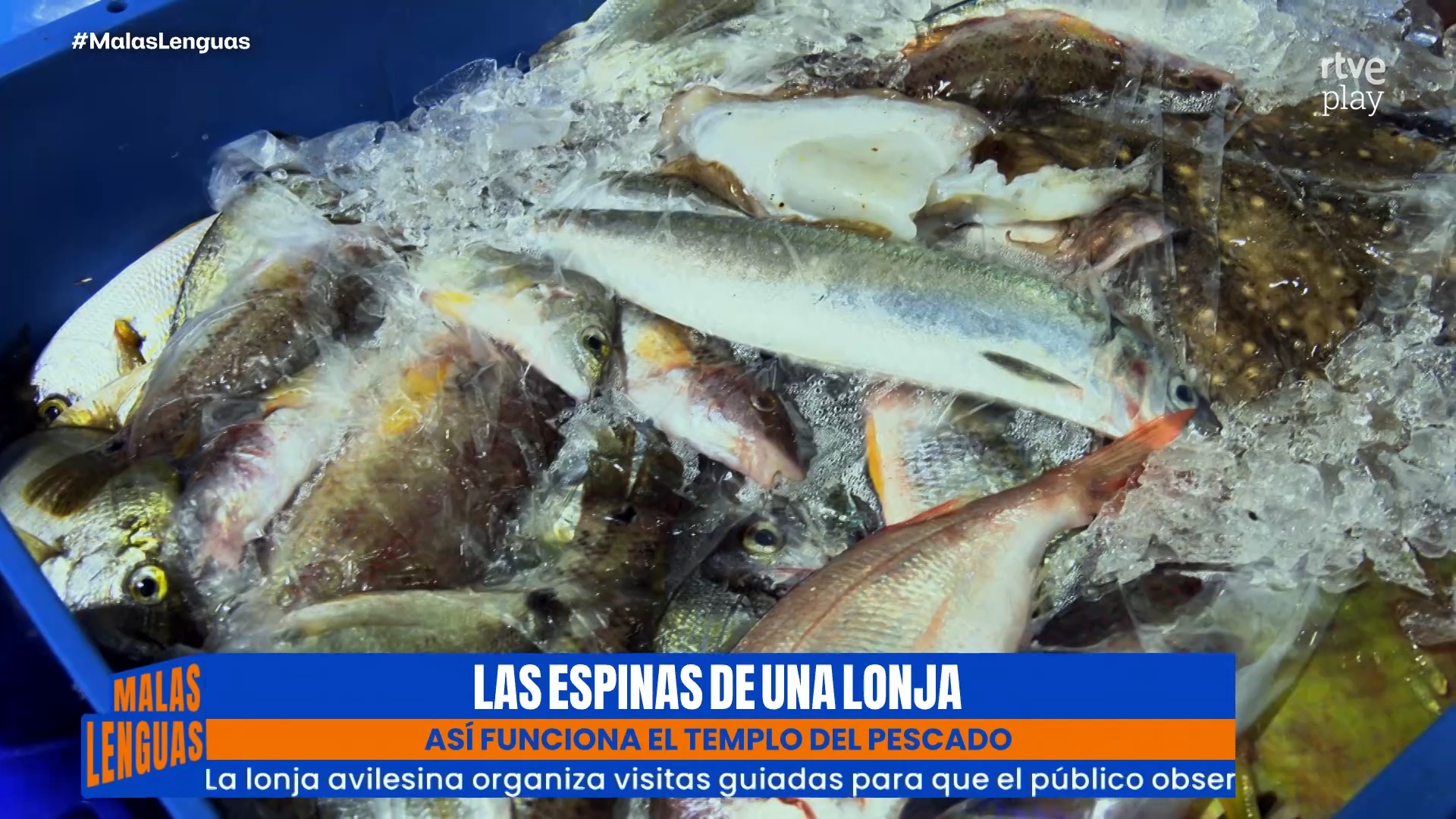 La lonja de Avilés inicia la subasta del pescado tradicional al amanecer