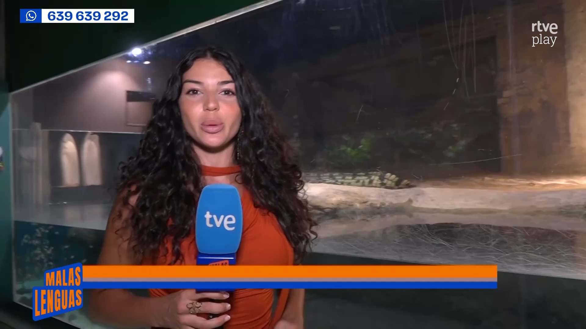 El Acuario de Zaragoza abre una exposición sobre el ajolote en peligro de extinción