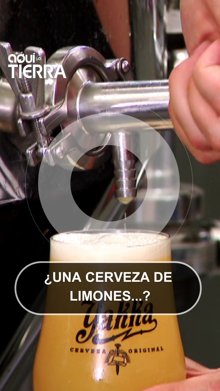 Limones feos pero sabrosos: la cerveza que aprovecha el desperdicio agrícola