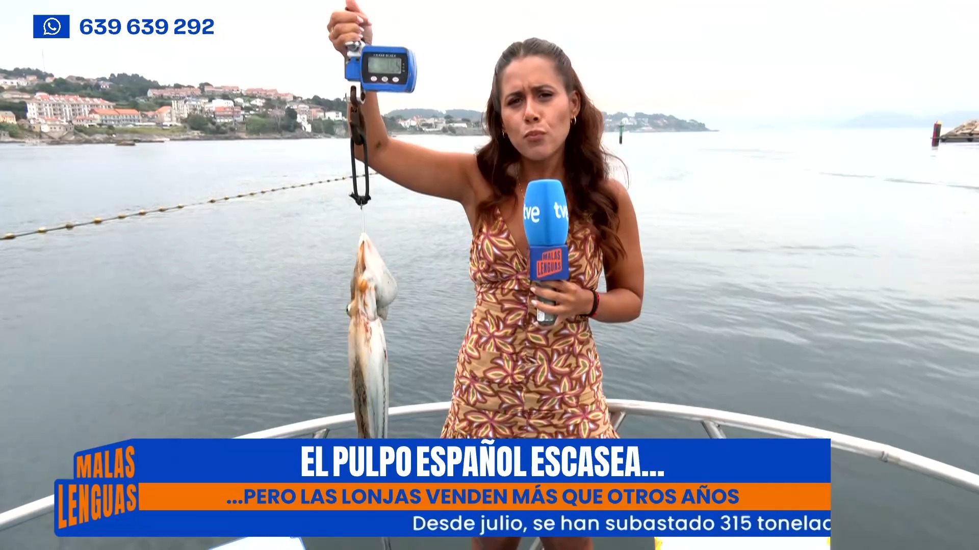 El pulpo gallego escasea en lonjas por la competencia de importaciones extranjeras