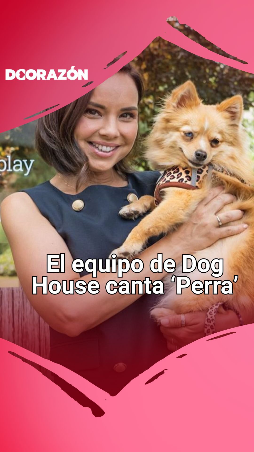 Senoa sorprende cantando 'Perra' de Rigoberta Bandini en Dog House por una causa animal