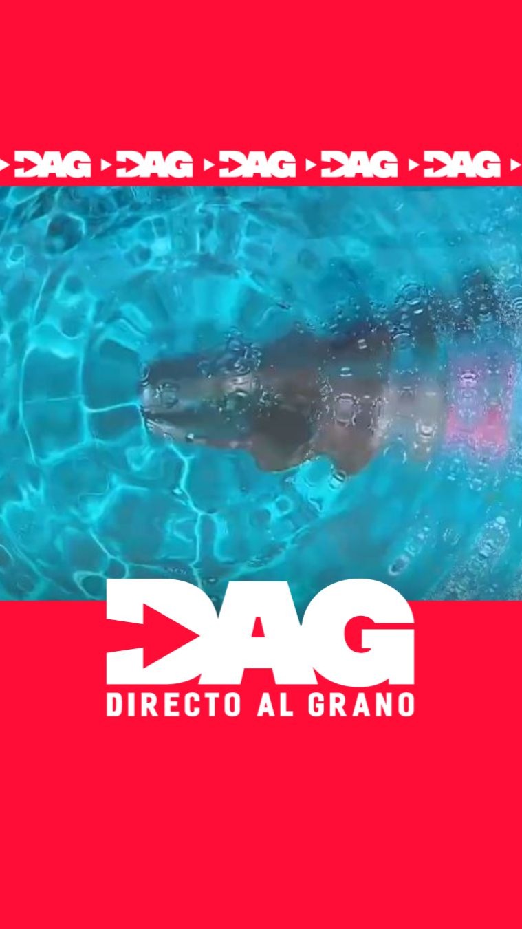 Piscinas portátiles en terrazas causan derrumbes y heridos en tres ciudades