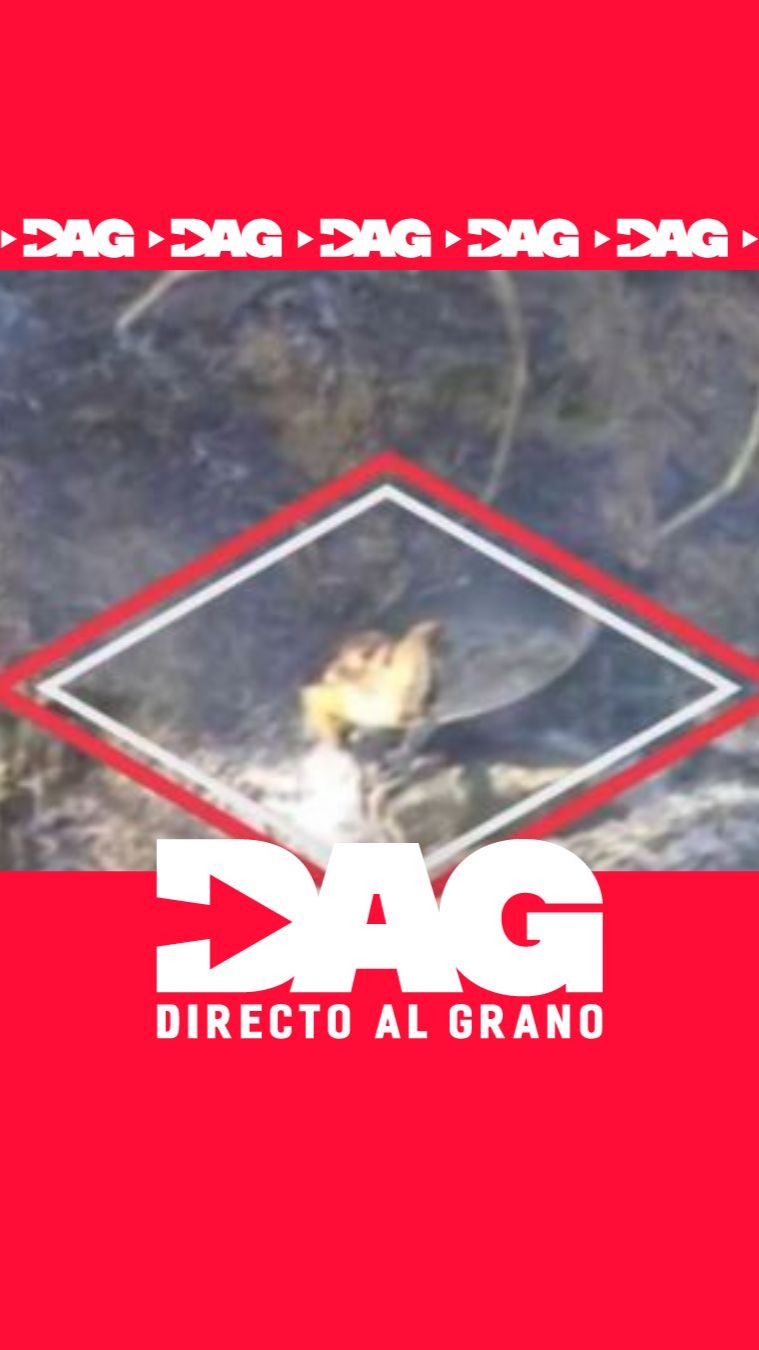 Detenida por cocinar un pollo en el bosque: incendio en Girona