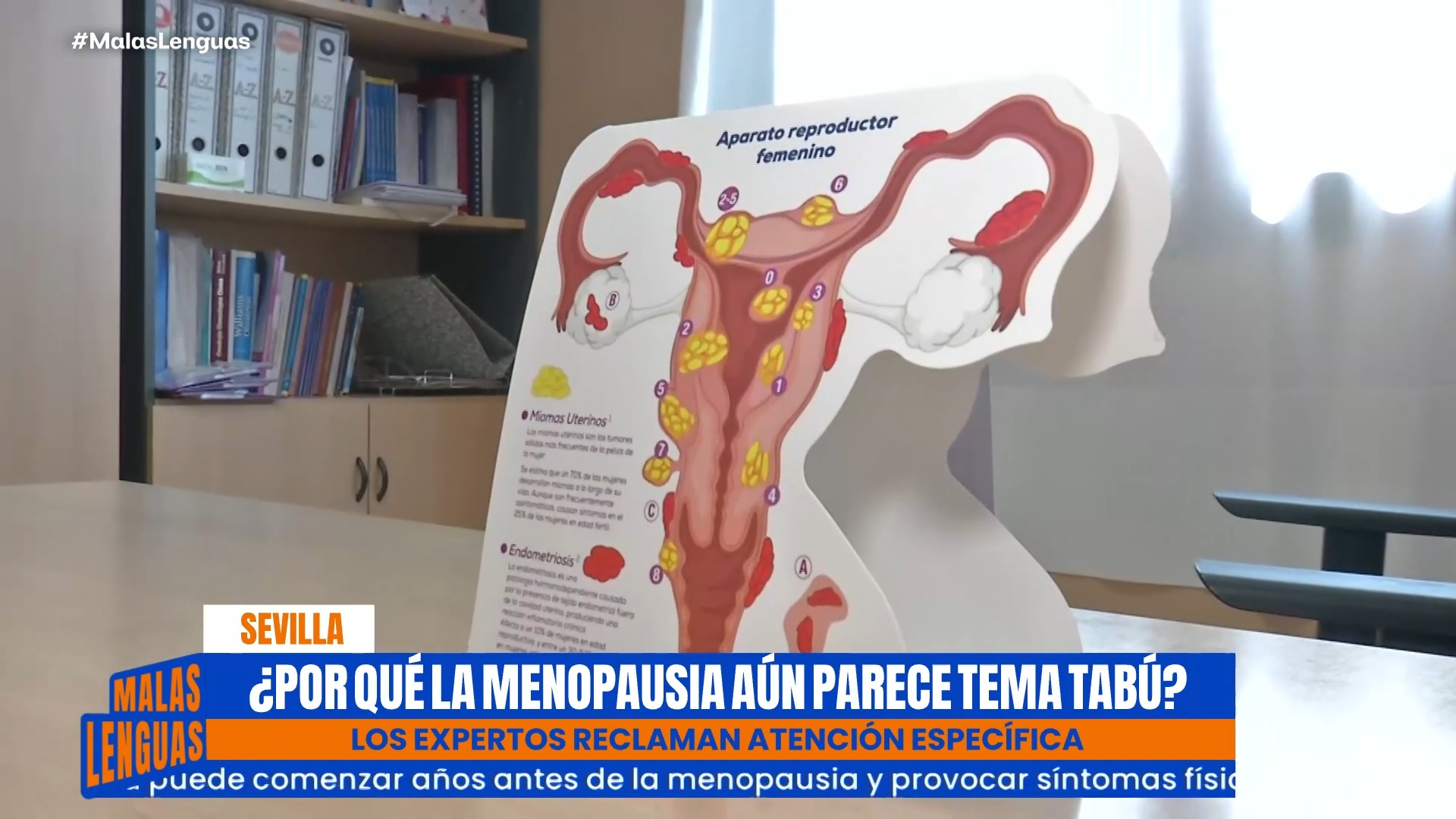 Perimenopausia: sofocos, niebla mental y el tabú que aún persiste