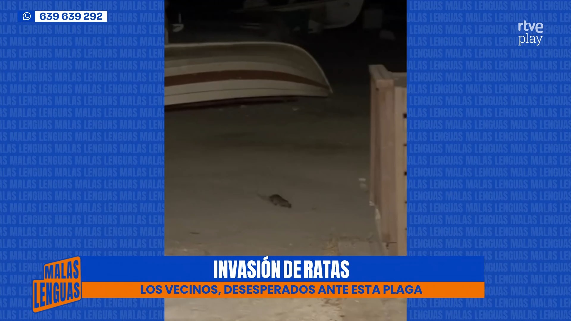 Vecinos de Pedregalejo denuncian una plaga de ratas que invade sus casas en Málaga