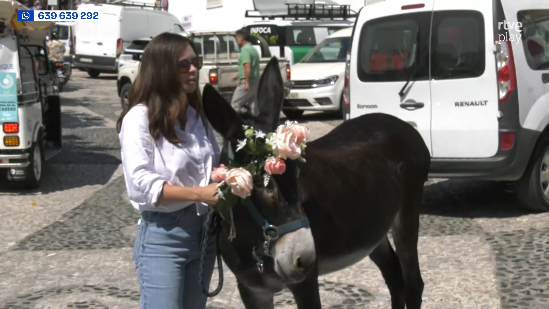 Lola, la burrita más mimada de Frigiliana, conquista el corazón de Málaga