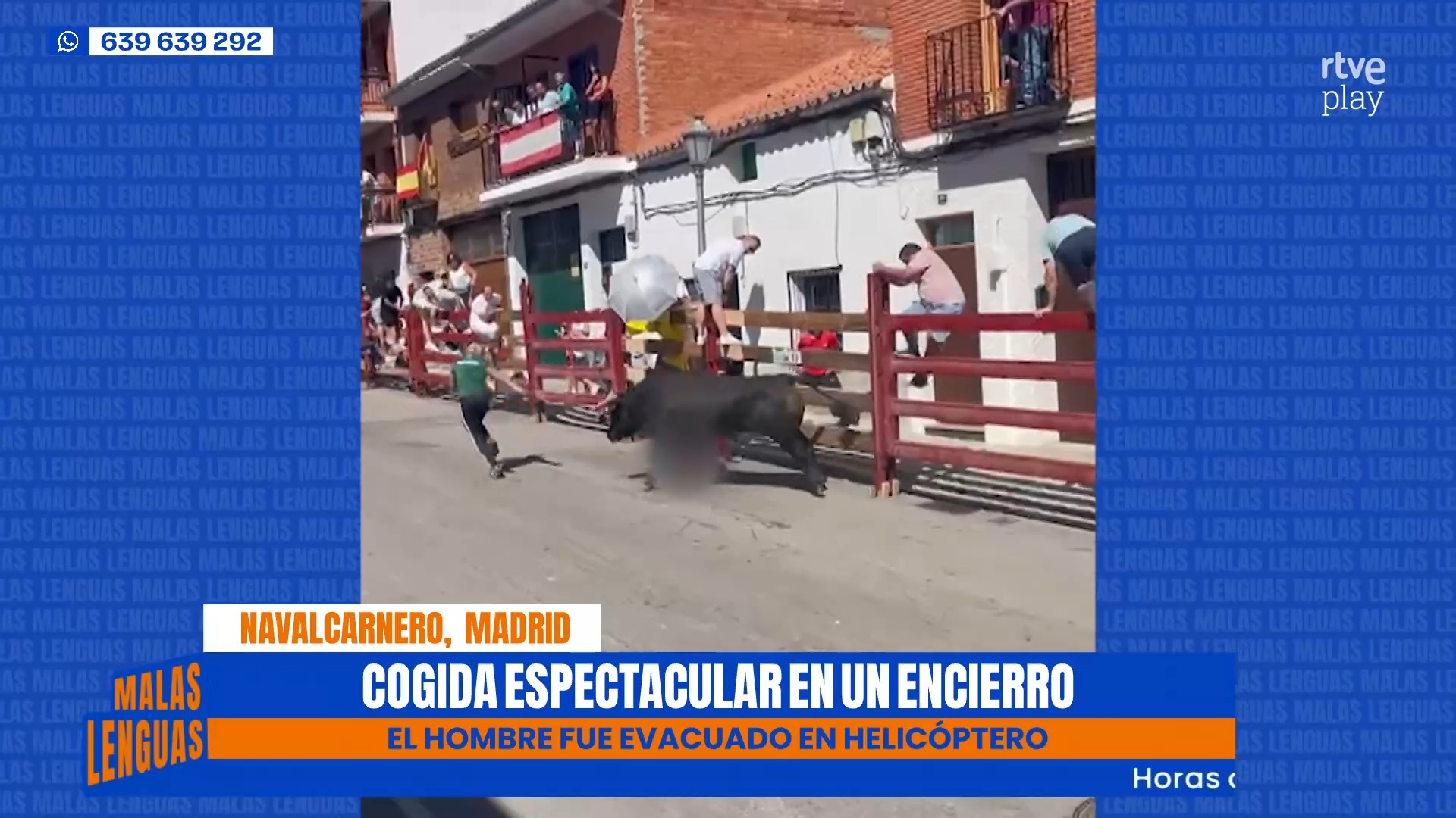 Un toro arrolla a un hombre de 58 años en los encierros de Navalcarnero