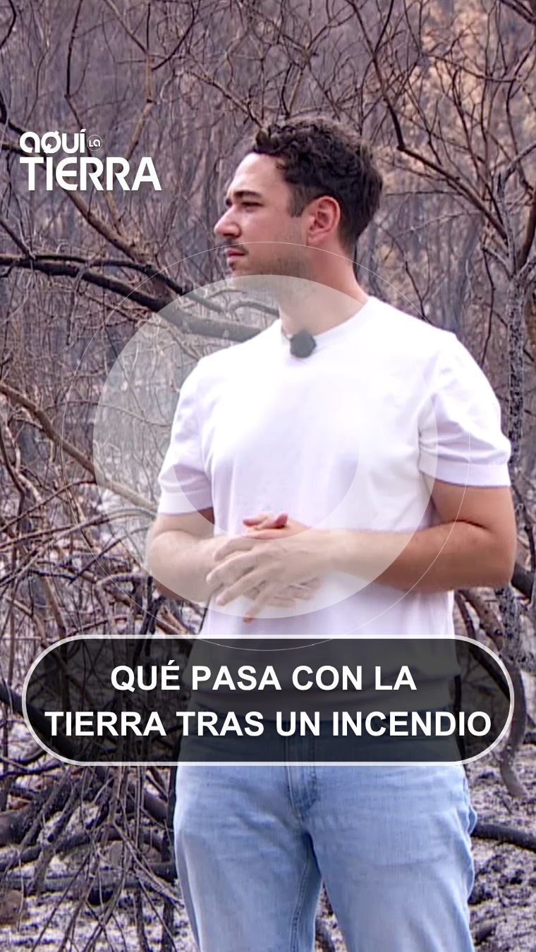 El problema no acaba con las llamas: escorrentías amenazan la Sierra de Espadán