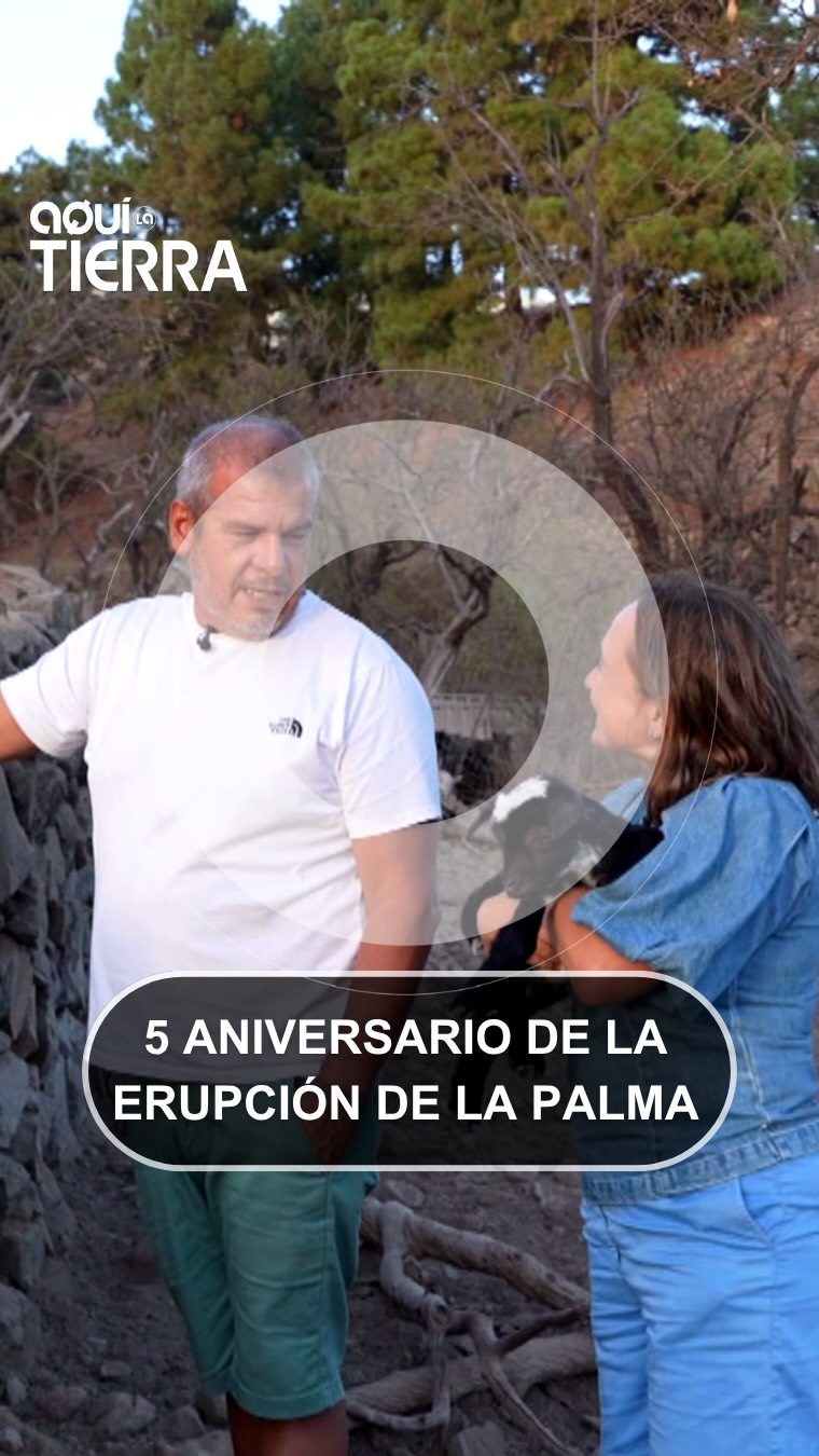 Cinco años después: el volcán se tragó toda mi vida de los 14 a los 50