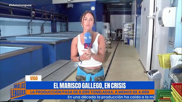 El marisco gallego escasea: las ventas de bivalvos caen un 90% en una década