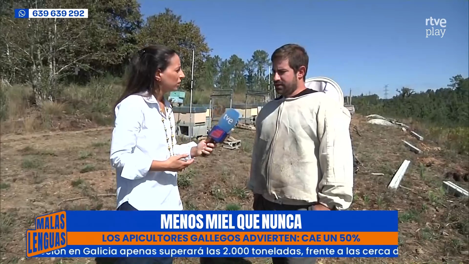 La sequía y la velutina hunden la producción de miel en Galicia