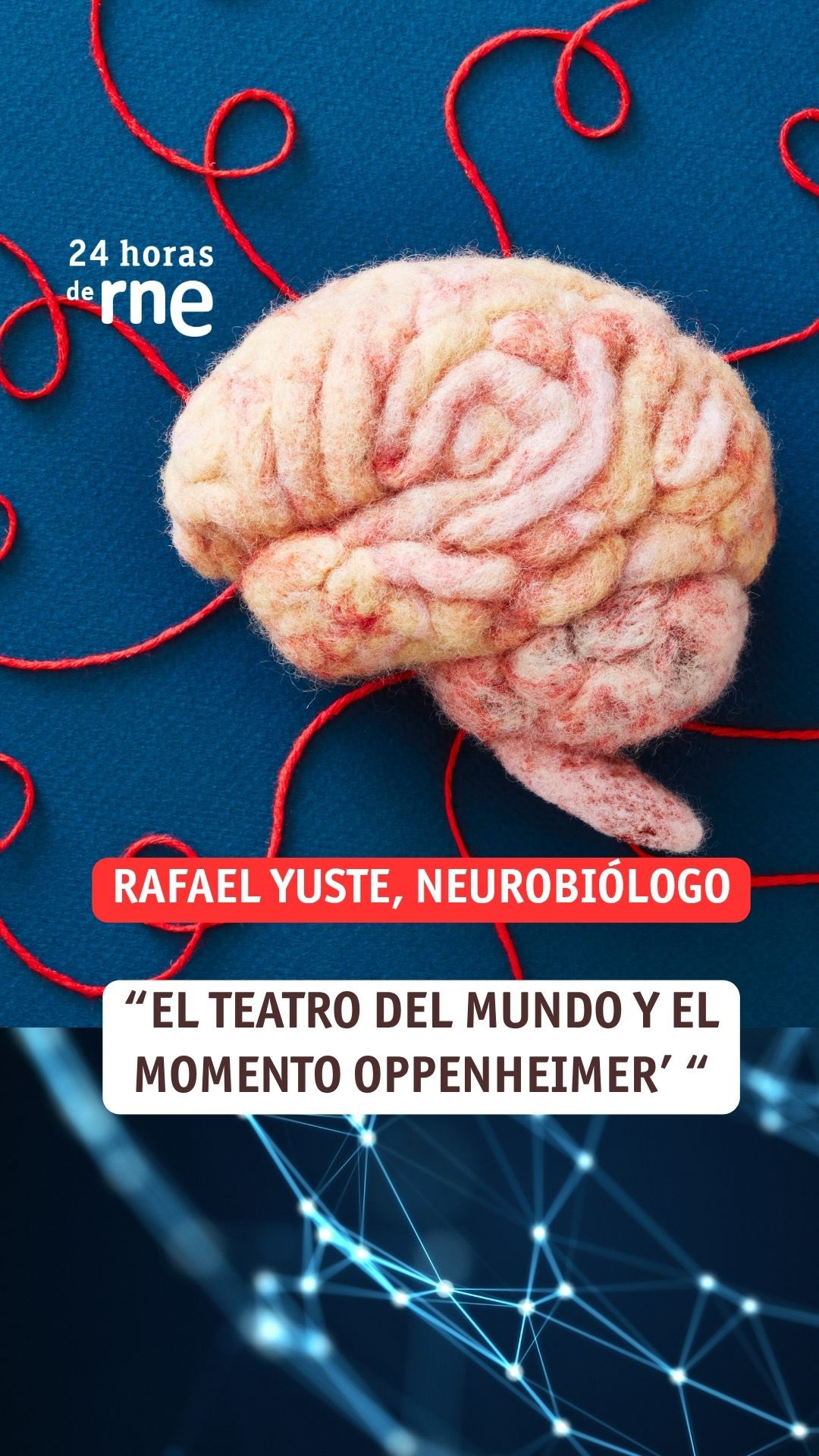 Manipulan el cerebro de ratones para crear visiones que no existen