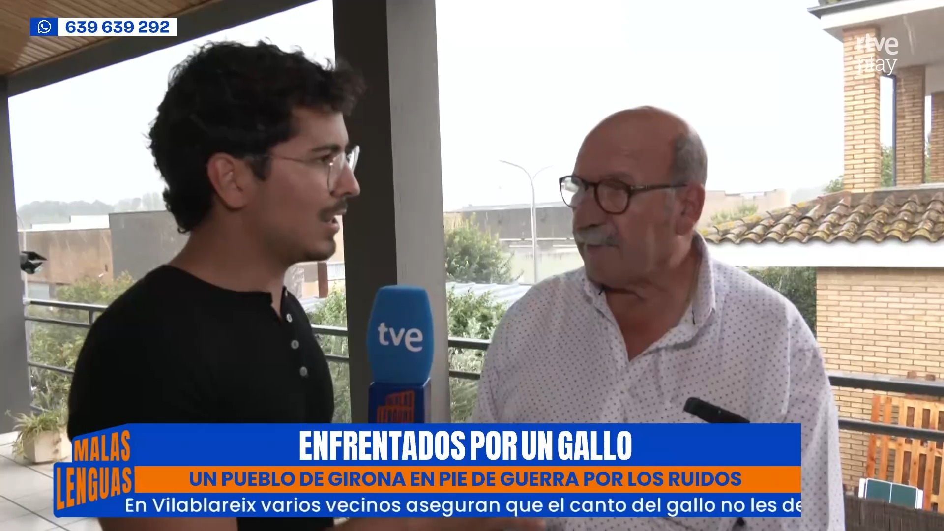 Un gallo en Vilablares enfrenta a vecinos por ruidos que impiden dormir