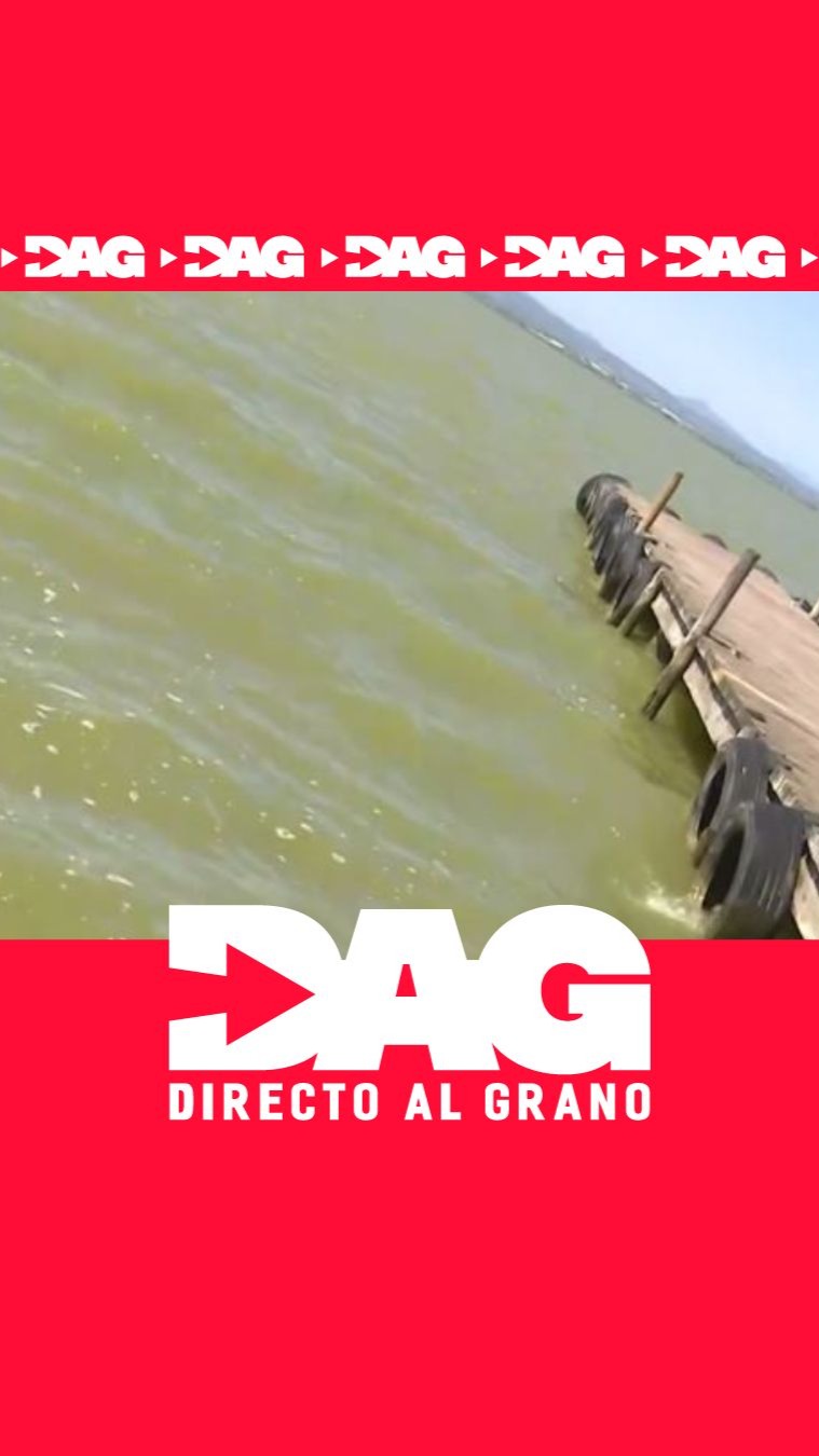 Una mancha marrón invade las playas de El Saler y alarma a los vecinos
