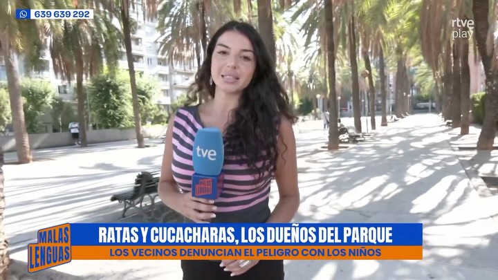Vecinos de Badalona denuncian plaga descontrolada de ratas y cucarachas