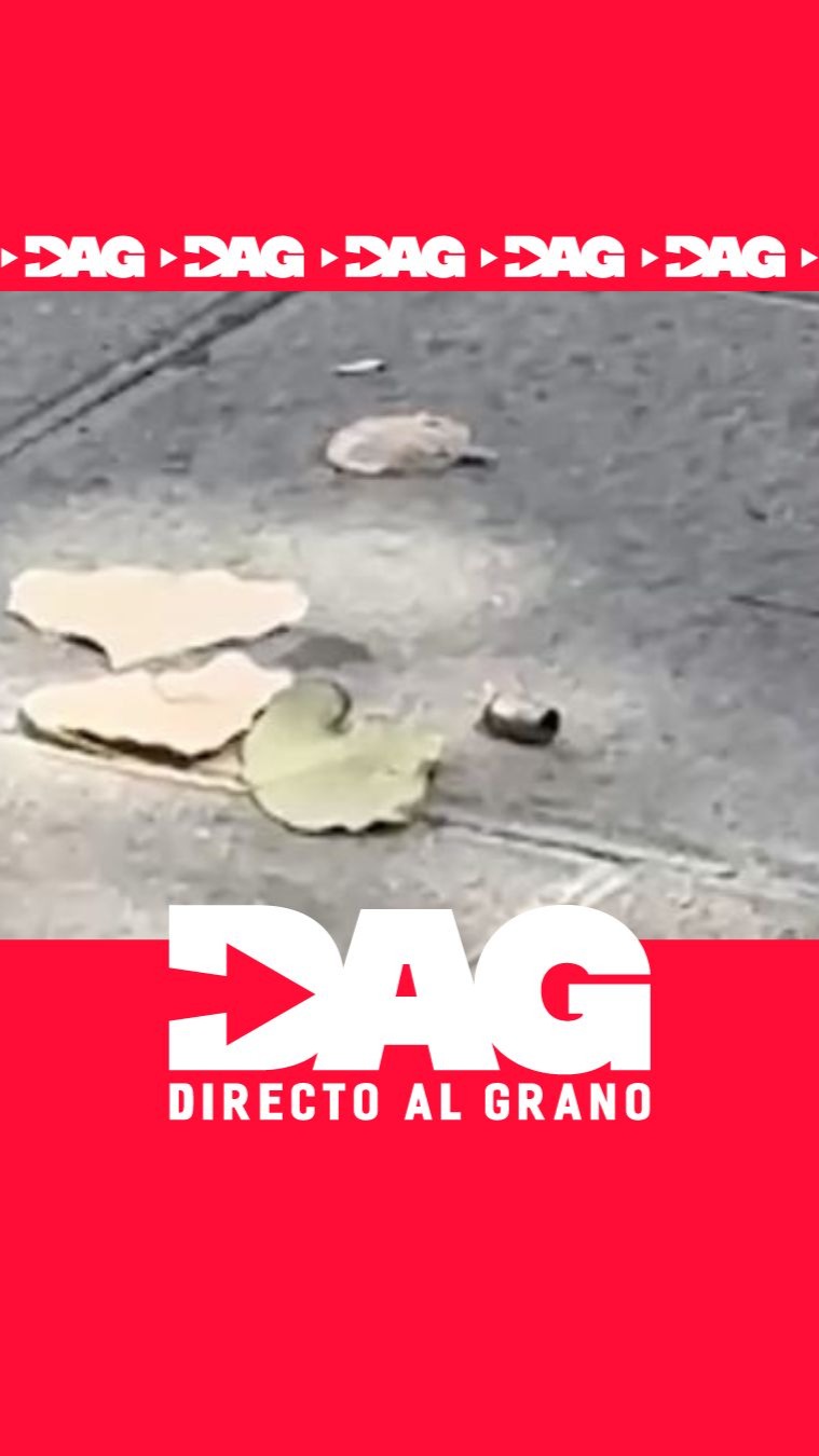La Policía Nacional despliega el Plan Costa del Sol contra el crimen en Málaga