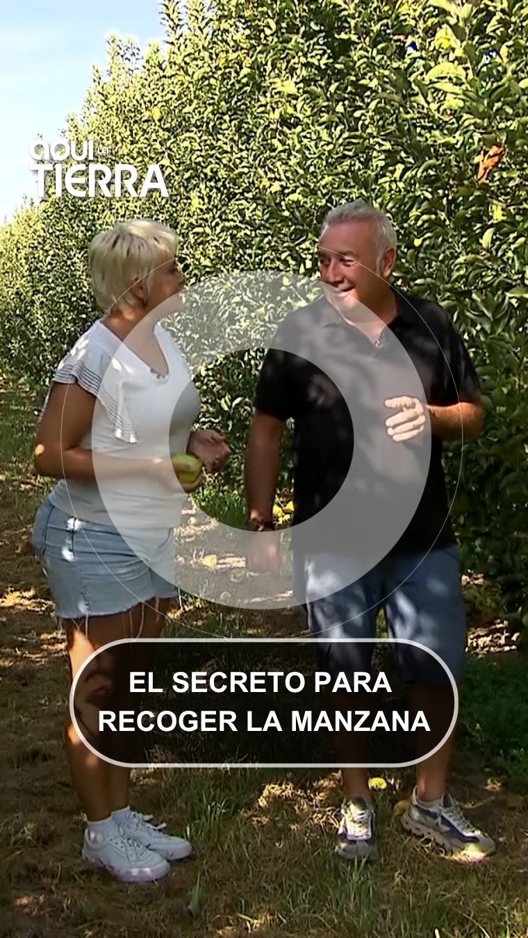 La manzana Golden reduce el colesterol y actúa como dentífrico natural