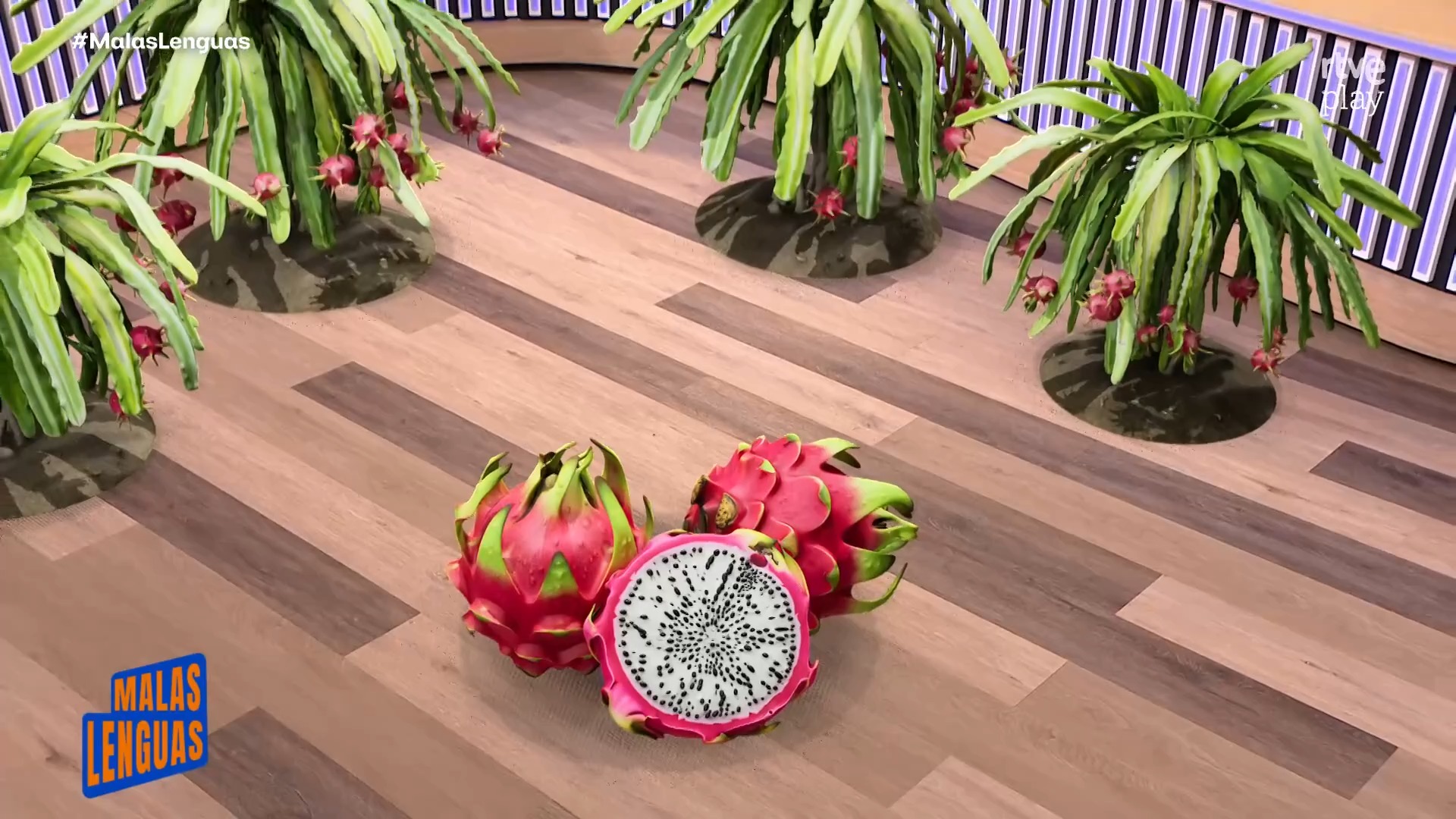 El calor extremo arrasa la pitaya sevillana y causa pérdidas de miles de euros