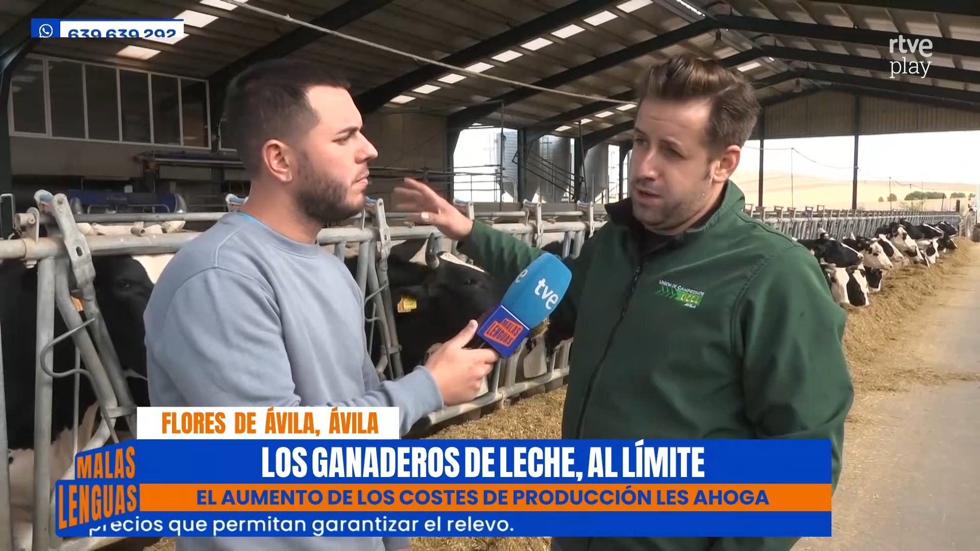 Ganaderos de Castilla y León pierden seis céntimos por cada litro de leche