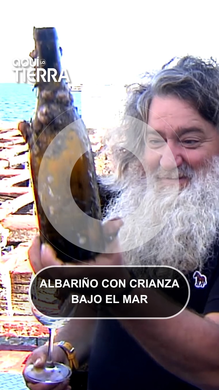 Qué le sucede a un albariño tras 15 años sumergido bajo el mar