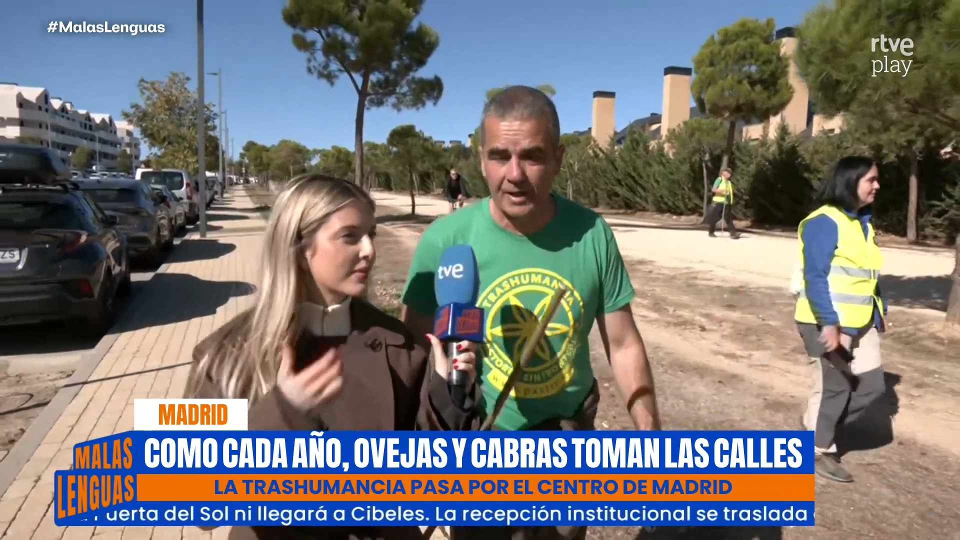 Más de mil ovejas toman las calles de Madrid por la transhumancia