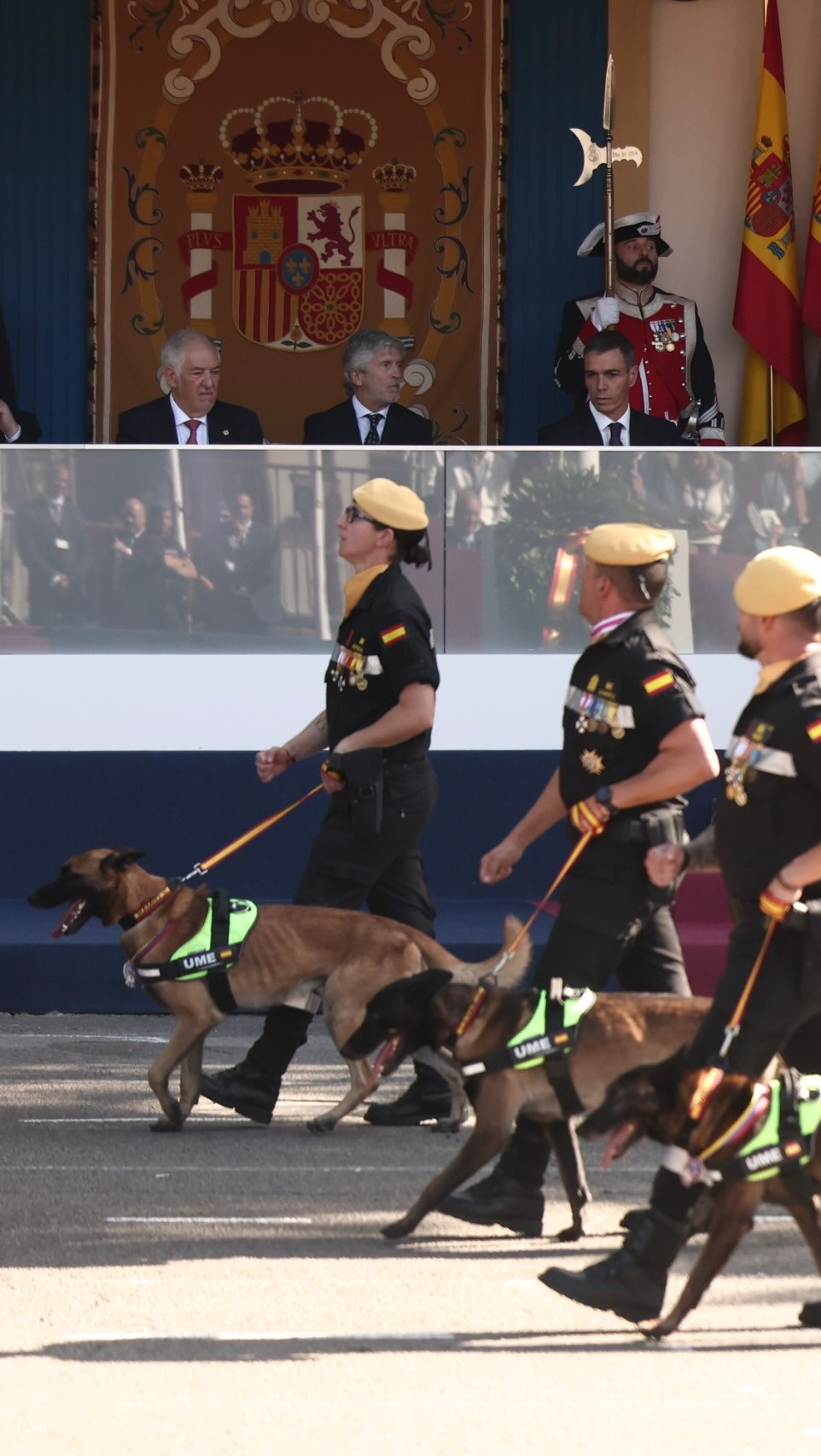 La UME ha participado en más de 855 emergencias este año