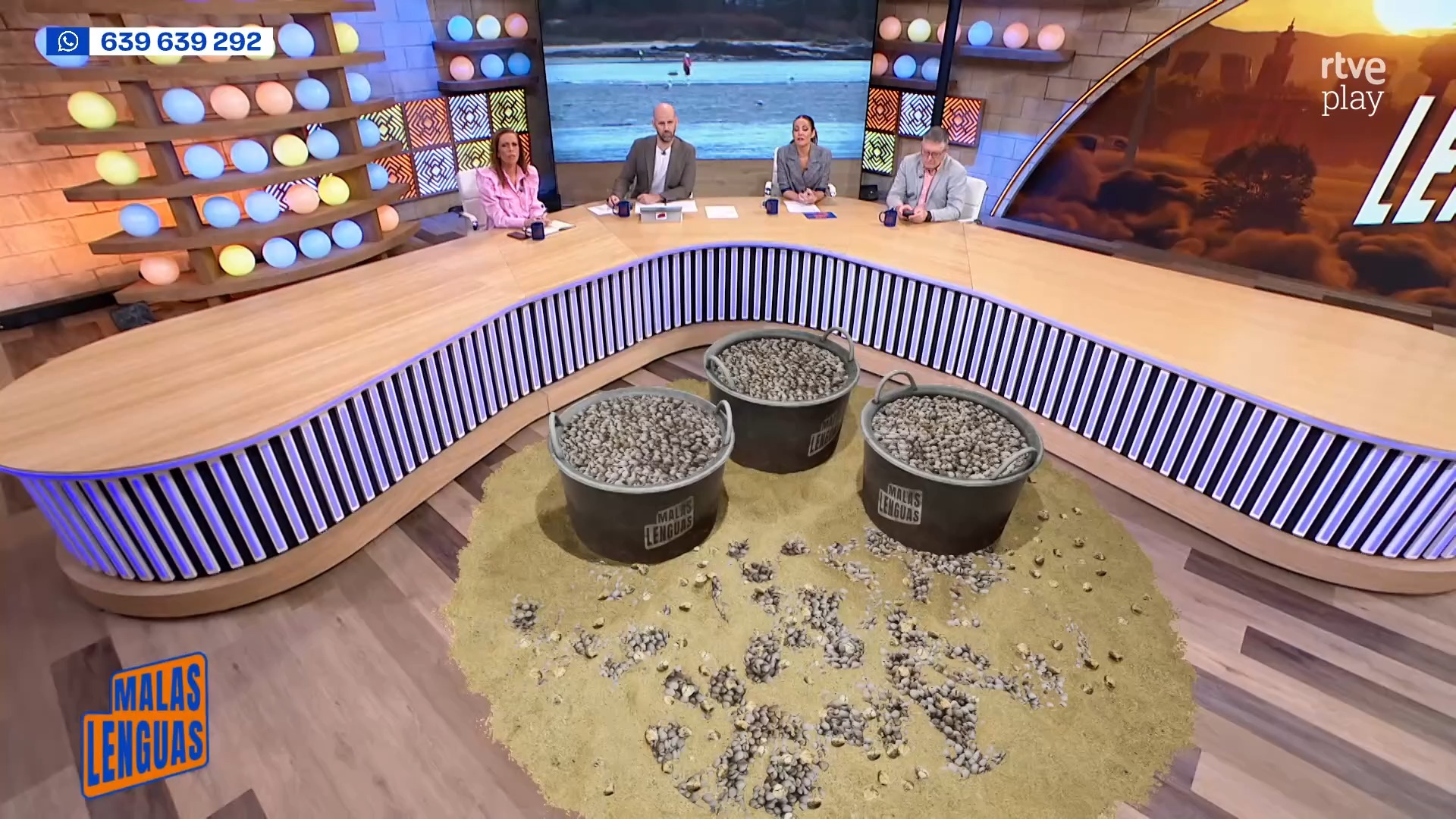 El esfuerzo físico de los mariscadores de Noya eleva el precio de los berberechos