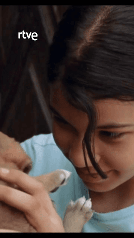 Ali es un joven que tiene que hacerse cargo de sus dos hermanas pequeñas cuando su padre muere.