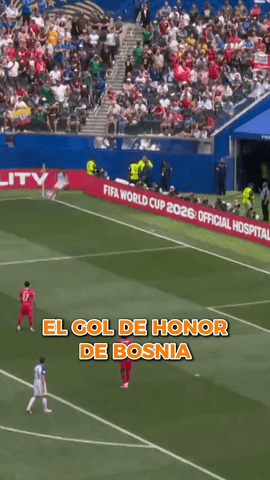 El gol del honor de Bosnia lo firma Mahmic con este precioso vole�n.