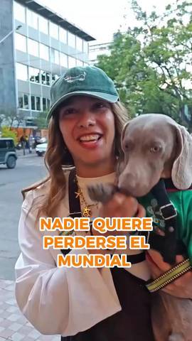 Nadie quiere perderse el #MundialRTVE, tal como puedes comprobar en este desfile de mascotas con la camiseta de su selección.