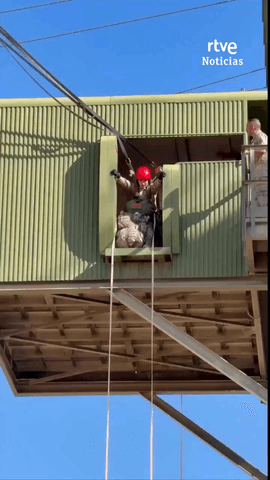 La Princesa de Asturias ha finalizado el Curso B�sico de Paracaidismo en la Escuela Militar M�ndez Parada, situada en la Base A�rea de Alcantarilla, Murcia.