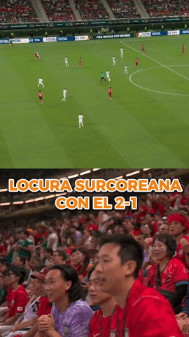 ¡LOCURA ENTRE LOS AFICIONADOS SURCOREANOS TRAS LA REMONTADA DE SU SELECCIÓN!