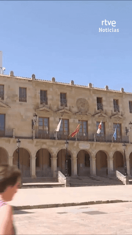 La Guardia Civil ha registrado este martes las dependencias del Ayuntamiento de Soria, en el marco de una investigaci�n judicial por presuntas irregularidades en el �rea de comercio, seg�n informa la Subdelegaci�n del Gobierno.